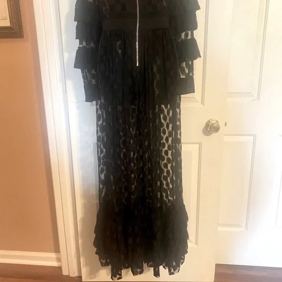 SHEER MESH POLKA DOT TIERED RUFFLE DRESS - Picture 13 of 15